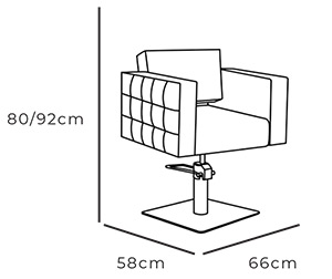 Velvet Hydraulic Styling Chair dimensions